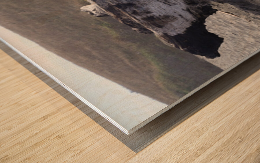 Driftwood Wood print