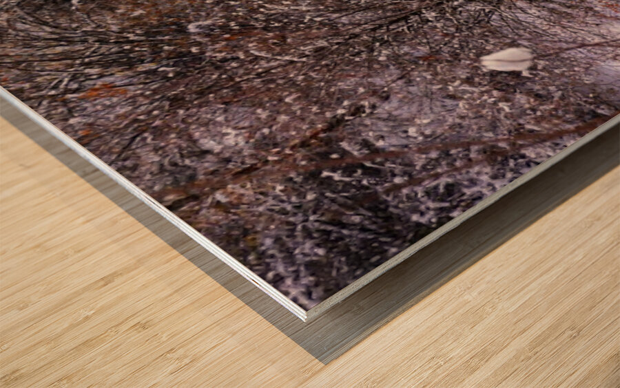 Strange Winter Venue Wood print