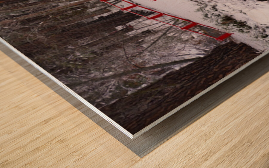 Red Bridge Wood print