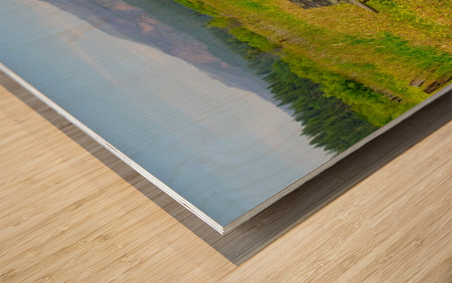 Natures Garden Wood print